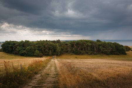 Nature reserve in the Zickersche Mountains on the island of Ruegen