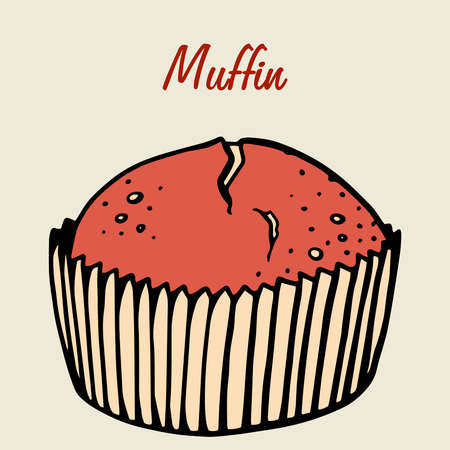 Muffin simple illustration . Cupcake with different flavors . Colored hand drawn muffin cookie .のイラスト素材