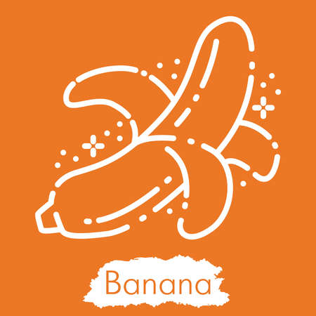 Illustration isolated on orange background. Line style vector engraving illustration. Cute, modernのイラスト素材