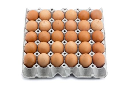 eggs in paper rack on white backgroundの写真素材