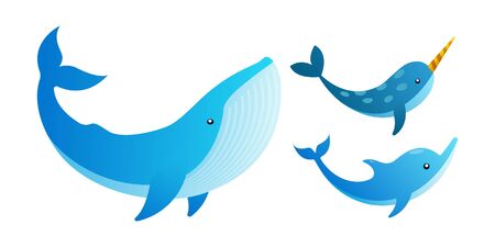 blue whale and narwhal and dolphin flat design conceptのイラスト素材