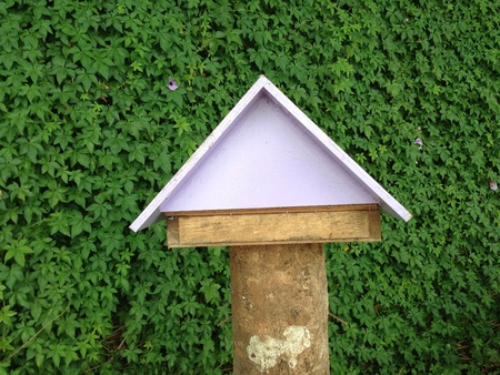 Miniature tree house