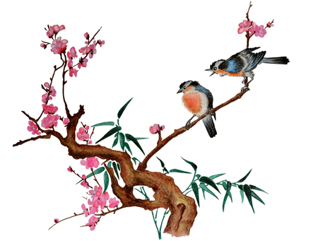 Watercolor traditional Chinese painting of flowers, cherry blossom and two birds on tree, white background. Illustration executed in traditional chinese style, isolated on white background.の写真素材