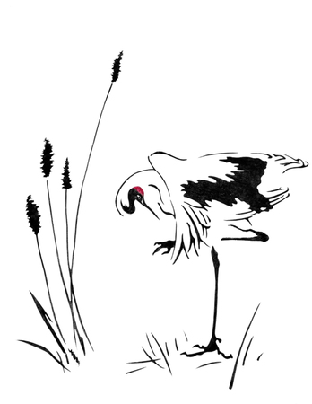 Watercolor with a beautiful crane. Crane stands on one leg in the middle of a swamp. Illustration executed in traditional chinese style, isolated on white background.の写真素材