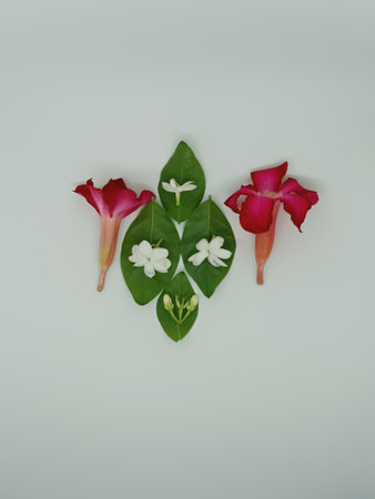 Colorful flowers and leaves made of paper on the white background.の写真素材
