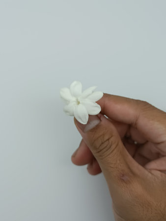 Hand holding a white jasmine flower on a white background.