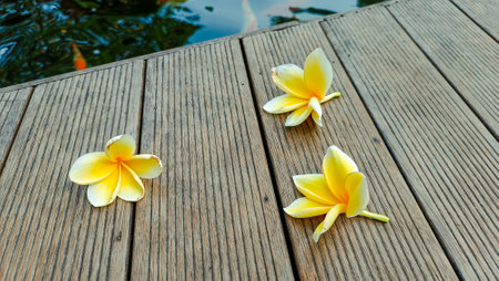 Frangipani flowers on wooden floor with reflection in water.