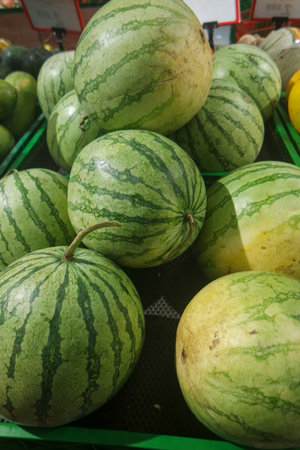 many water melons, Fresh water melons in the marketの写真素材