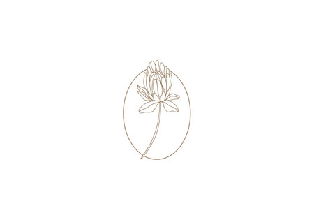 Logo protea flower,Feminism, Minimalist, Modern, Logo Line, editable colorのイラスト素材