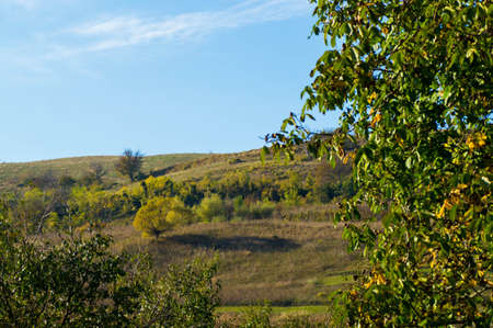 Landscape photo of a hill with trees on itの写真素材