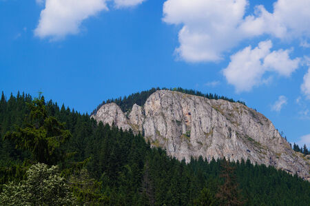 Landscape photo of a huge cliff with pine treesの写真素材