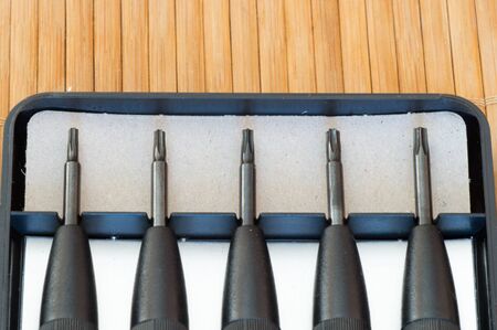 Precious torx screwdriver in their holderの写真素材