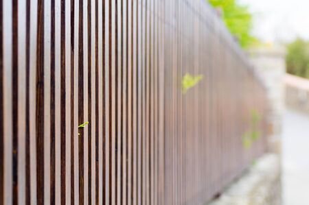 Macro shot of wooden fence with a small leaf in focusの写真素材