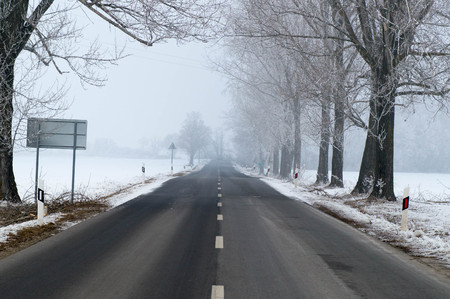 Foggy road with trees next to itの写真素材