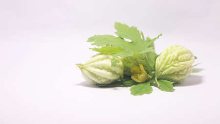 Coral vegetables with green leaves.