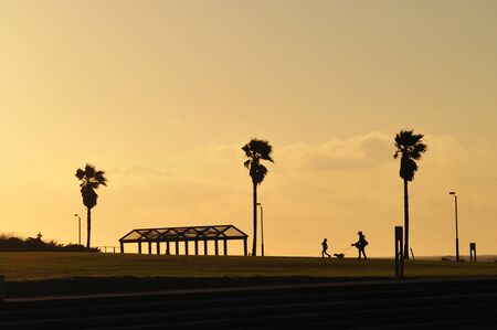 The park and the dog walk at duskの写真素材