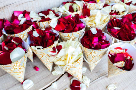 rose petals for the newlyweds shedding の写真素材
