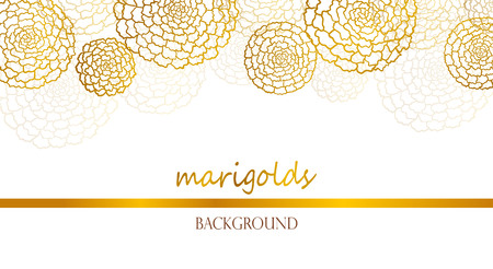 Vector white banner with golden marigoldsのイラスト素材