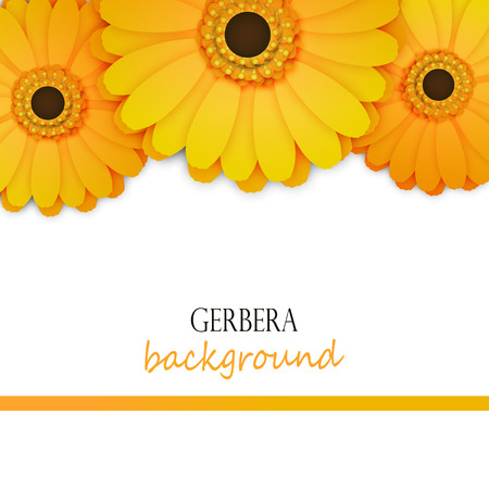 Floral background with yellow gerberaのイラスト素材