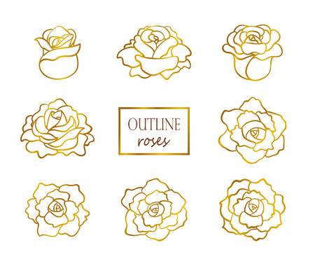 Vector set of outline golden roses, side and top view.のイラスト素材