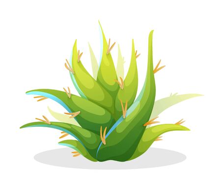 Aloe vera in cute cartoon style, mexican plantのイラスト素材