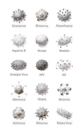 Vector set of common viruses. Models of pathogensのイラスト素材