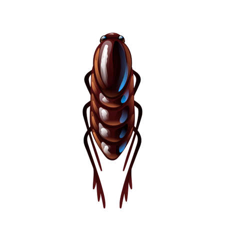Flea parasite isolated on whiteのイラスト素材