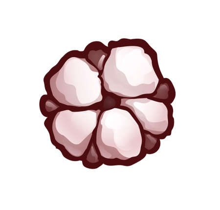 Cotton capsule top view. Brown vector illustrationのイラスト素材