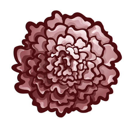 Marigold bud, top view. Monochrome vector iconのイラスト素材