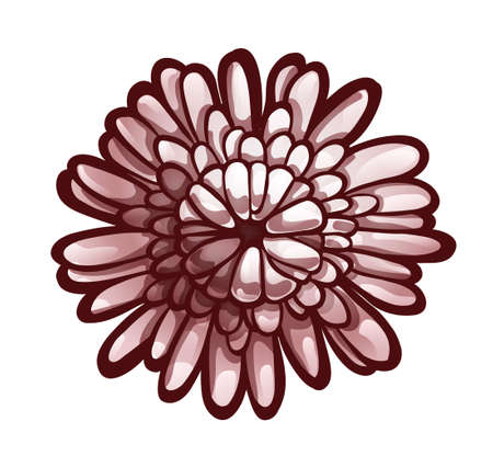 Aster bud, top view. Monochrome hand drawingのイラスト素材