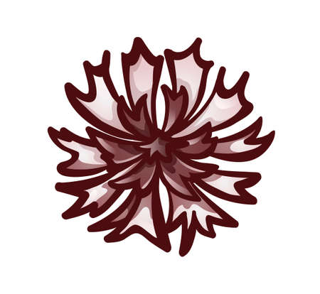 Cornflower bud, top view. Monochrome brown iconのイラスト素材