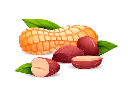 Peanut composition, side view, vector cartoon art