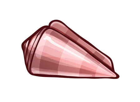 Striped cone shell. Marine animal, vector drawingのイラスト素材