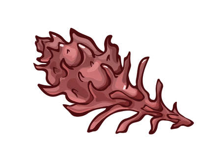 Decorated seashell with long appendages. Sea oceanのイラスト素材