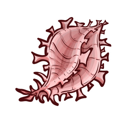 Decorated by many appendages seashell. Sea animalのイラスト素材