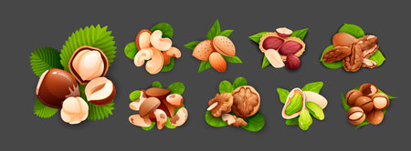 Nut compositions, good for label and stickerのイラスト素材