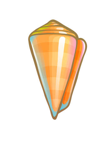 Striped cone shell. Marine animal, vector drawingのイラスト素材