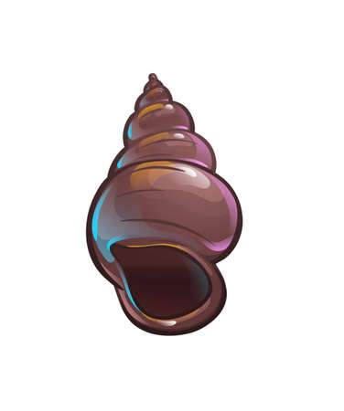 Tulip sea shell. Marine animal, underwater. Vectorのイラスト素材