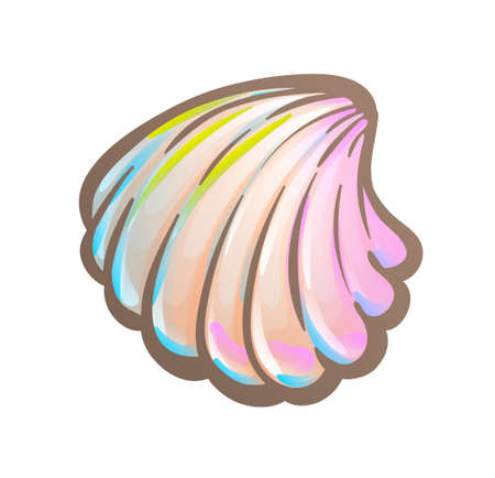 Common seashell with ribbed surface. Marine animalのイラスト素材