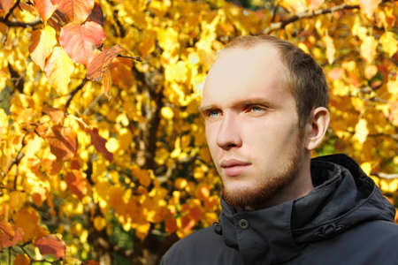 portrait of young man with beard outdoor, autumn tree on backgroundの写真素材