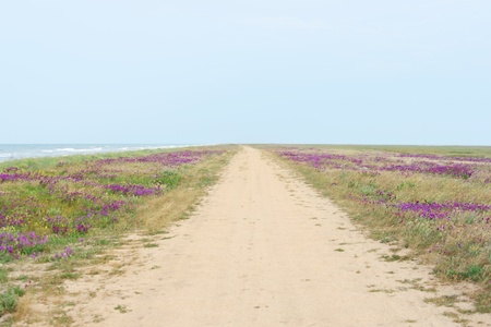 landscape with road and sea on Arabat spit in Crimea, Ukraineの写真素材