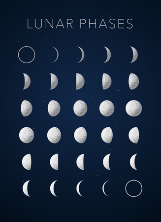 realistic textures Lunar phases vectorのイラスト素材