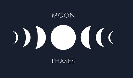 Moon phases vector background