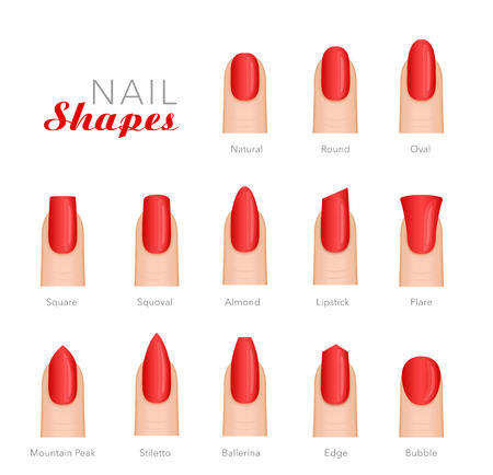 Professional manicure different shapes of nails vector template design.のイラスト素材