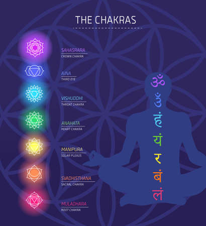 Chakras energy lotus pose human vector setのイラスト素材