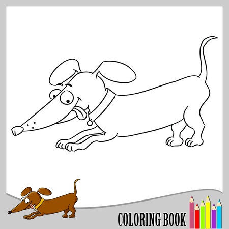 Coloring book - sausage dog (vector) のイラスト素材