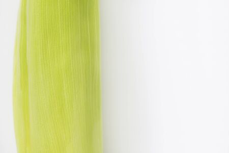 Fresh corn cobの写真素材