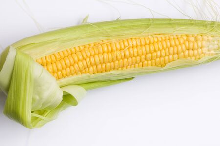 Fresh corn cob