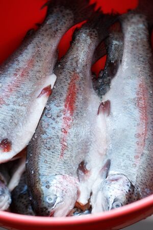 Marinated trout
