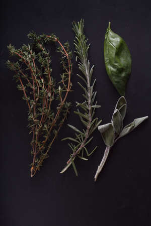 Branch of thyme, rosemary, sage and leaf of basil on black backgroundの写真素材